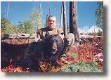 Archery Hunting Black Bear