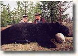 Archery Hunting Black Bear