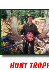 Yukon-Alaskan Moose