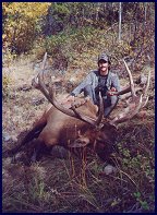 Outfitter: Elk Hunting in Canada