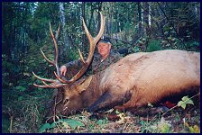 Successful Elk Hunter