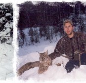 Bowhunting Lynx