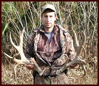 Huge Trophy Mule Deer