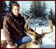 Trophy Whitetail Buck