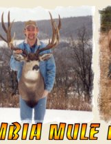Big Mulies