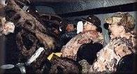 Plane loaded with antlers