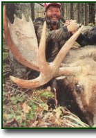 Alaskan-Yukon Moose