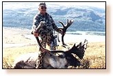 Quebec-Labrador Caribou