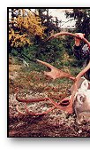 Caribou