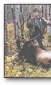 Rutting Elk
