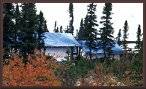 Blue Camp