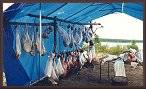 Caribou Meat