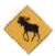 Moose