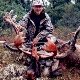 Record book caribou
