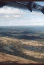 Bush Plane