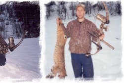 Bowhunting Bob Cat