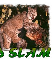 Archery Gand Slam